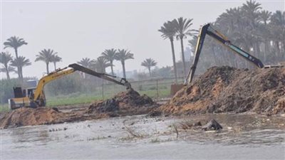 عاجل.. محافظ القليوبية: 175496 حالة تعد على الأراضى الزراعية