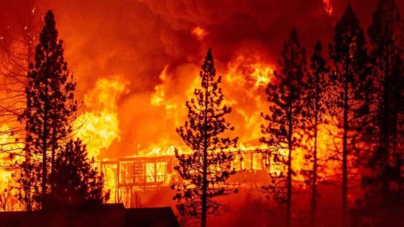 حرائق الغابات