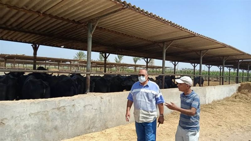 السكرتير المساعد