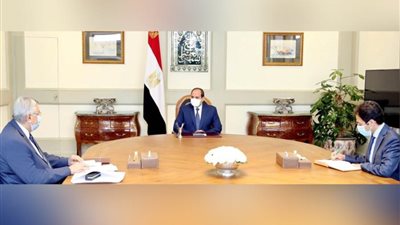 الرئيس السيسي يوجه باستخلاص الدروس المستفادة من تجربة مصر لمكافحة كورونا  