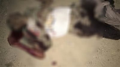 عاجل.. مصرع عنصر إجرامي في تبادل إطلاق النار مع الشرطة بالإسماعيلية