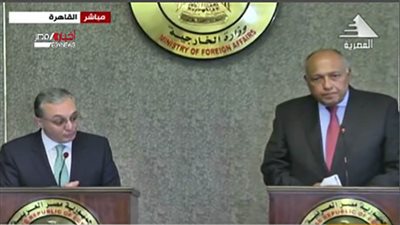 شكري ونظيره الأرميني يؤكدان عمق العلاقات بين البلدين في شتى المجالات