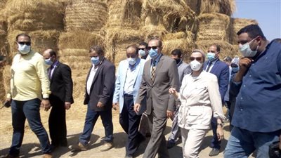  89 موقعاً لتجميع قش الأرز وكبس 300 طن كومات سمادية وأعلاف بكفر الشيخ 