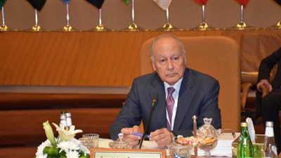 أبو الغيط: الإجماع العربي على القضية الفلسطينية لن يتأثر بالتطورات الأخيرة