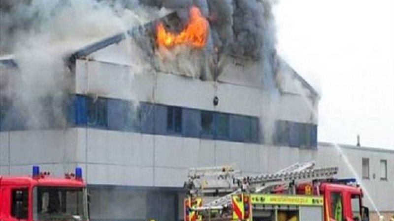 بوابة روز اليوسف