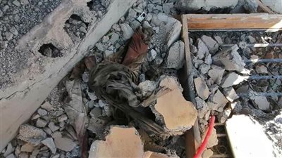 تعرف علي جنسيات قتلى الخلية الإرهابية في حي عبد الكافي 