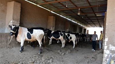 بشرى سارة لصغار مربي الماشية