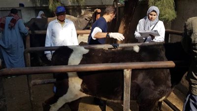 غلق 76 عيادة ومركزًا طبيًّا بيطريًّا مخالفًا