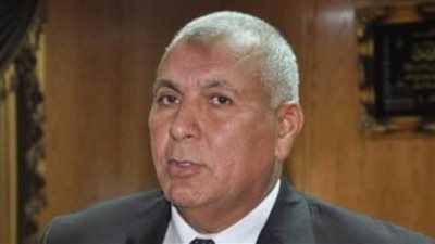 مجمع مصالح مميكن بالوادي الجديد