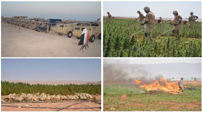 القوات المسلحة تنجح في القضاء على 146 من مزارع الخشخاش والبانجو والهيدرو المخدر بجنوب سيناء