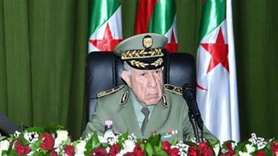 رئيس الأركان الجزائري: الجيش سيبذل قصارى جهده لإنجاح الاستفتاء على التعديلات الدستورية