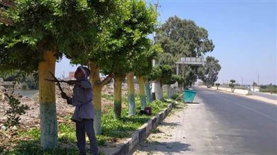 أهالي مدينة 