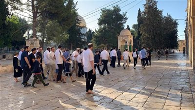 مستوطنون يقتحمون الأقصى وشرطة الاحتلال الإسرائيلي تدنس الجامع القبلي