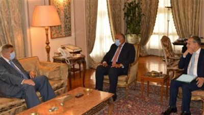 شكري والمُنسق الأممي الخاص في لبنان يؤكدان ضرورة الاستمرار في دعم بيروت  