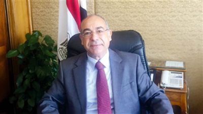مندوب مصر بالأمم المتحدة: النقاش العام بالدورة الـ75 يكتسب أهمية خاصة بسبب 