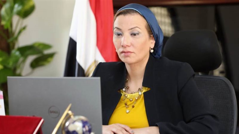 ياسمين فؤاد وزيرة