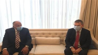 شكري يؤكد ضرورة الاستمرار في بذل الجهود الدولية لضمان استدامة خدمات الأونروا‎