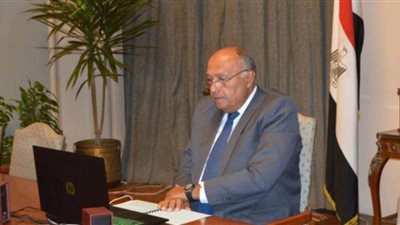 شكري يؤكد دعم مصر لجهود تعزيز التعاون الجنوب جنوب