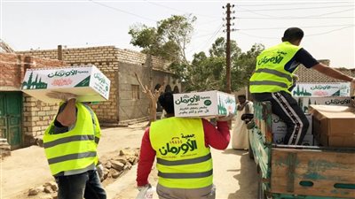 87.638 مشروعا تنمويا للأورمان فى مختلف محافظات الجمهورية للأسر الأكثر احتياجا