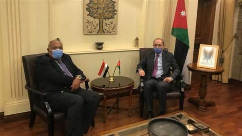 سامح شكرى ونظيره