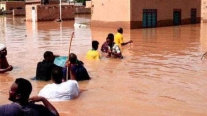 ضحايا السيول