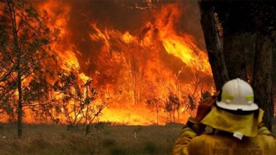 الحرائق تخلي مئات المنازل في ولاية كاليفورنيا الأميركية