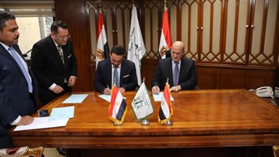 مجلس الدولة و