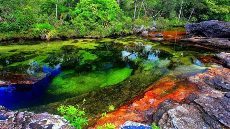 نهر الألوان