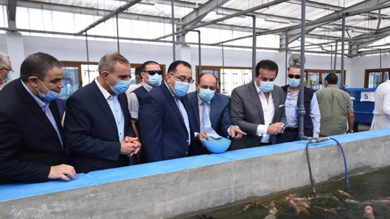 جولة رئيس الوزراء