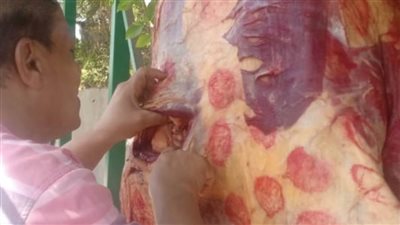 ضبط 350 كيلو لحوم غير صالحة خلال حملة بمركز أبوتيج