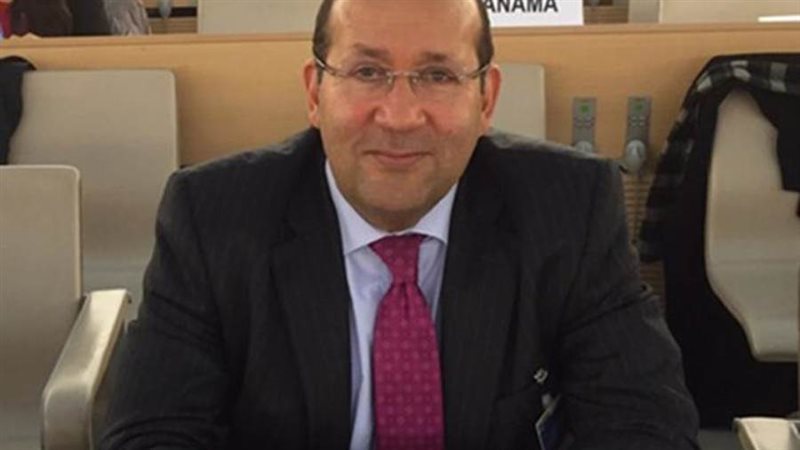 السفير هشام بدرسفير