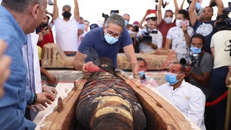 الدكتور خالد العناني