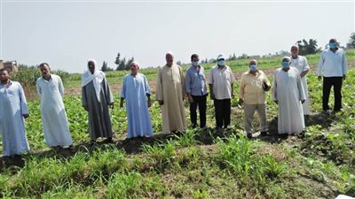 ندوة إرشادية عن محصول بنجر السكر لمزارعي أبو المطامير