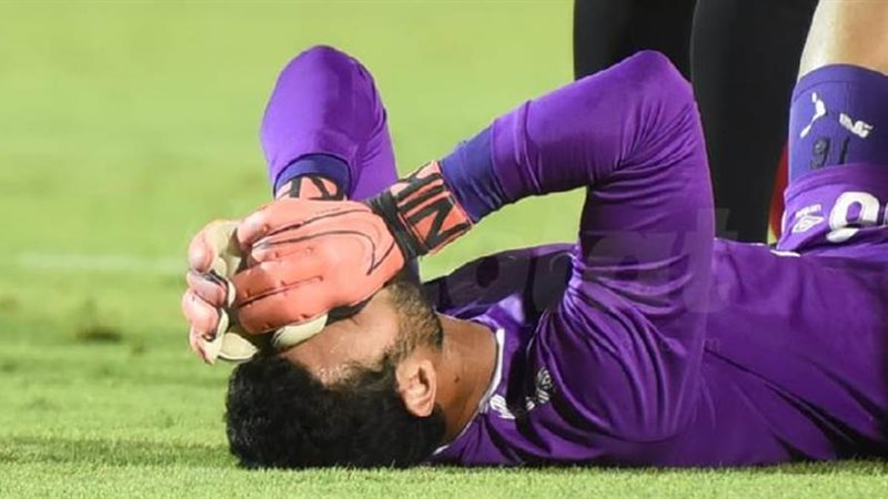 محمد الشناوي