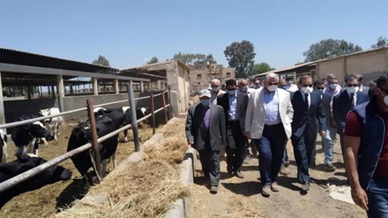 تفقد الثروة الحيوانية