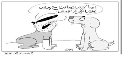 الريشة علي الجبهة .. من التحرير للتعمير