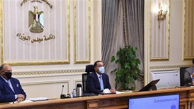 مجلس الوزراء: تخصيص أراضي مملوكة للدولة بتوشكى للاستزراع والاستثمار السمكي