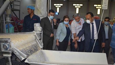 نائب محافظ المنيا يتابع عددًا من المشروعات التنموية والمصانع 