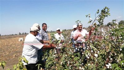 كفرالشيخ: تحظر نقل 