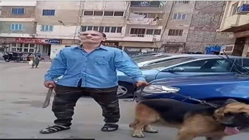 عاطل إلاسكندرية