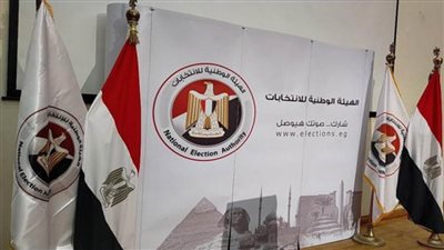 نائب رئيس النيابة الإدارية: الإشراف على الانتخابات واجب وطني