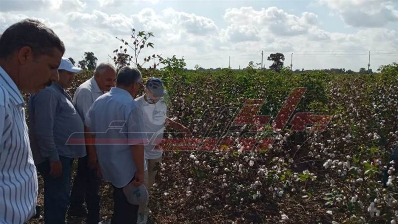 رئيس مركز البحوث