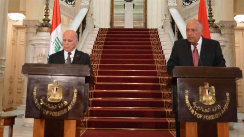 سامح شكري وزير الخارجية