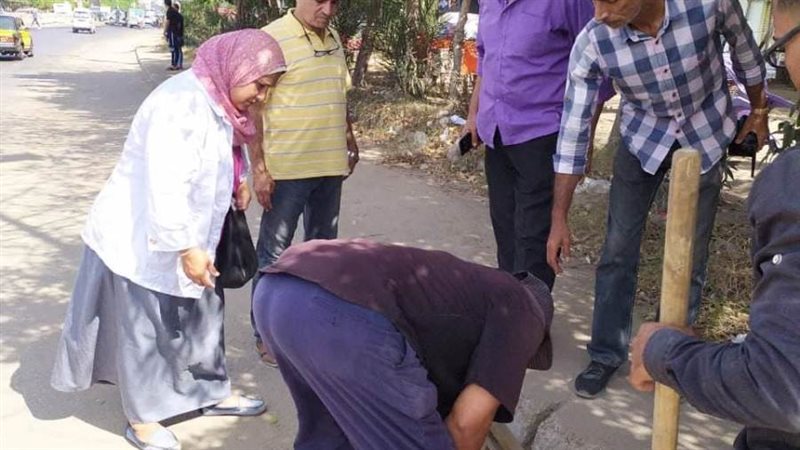 تفقد الشنايش