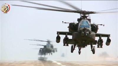 نسور السماء