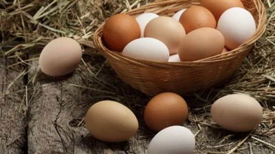 استشاري تغذية يوضح معلومات صادمة عن البيض 