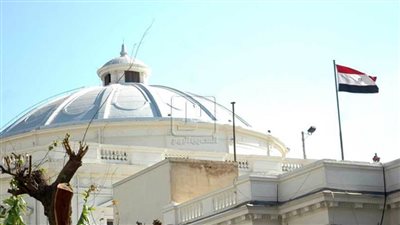 ما لا تعرفه عن النواب المعينين في مجلس الشيوخ