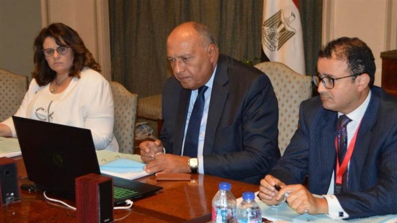 شكري يشارك في اجتماعات