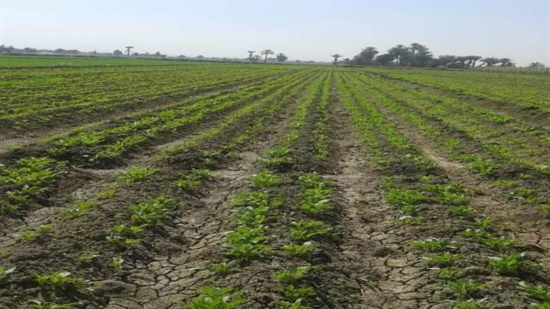 فرض ضرائب على المزارعين