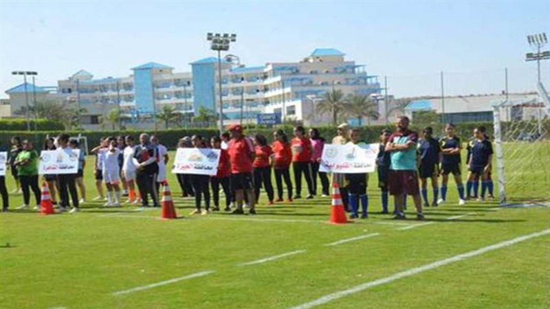 الدورة التنشيطية